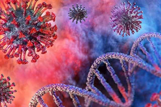 Coronavirus, in Puglia 11 nuovi casi: positivo l'1% dei tamponi